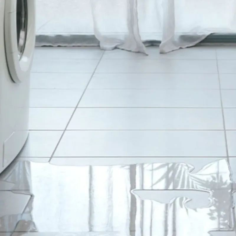 Appliance Leak Cleanup in Tumwater, WA