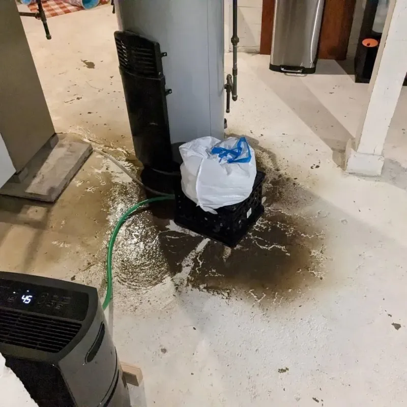Sewage Backup Cleanup Service in Tumwater, WA